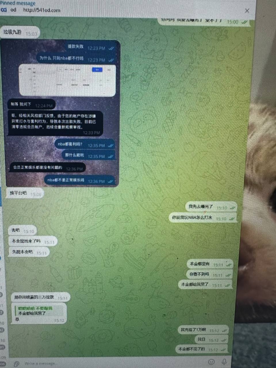 爆料九游娱乐,九游是年底里要收割了嘛